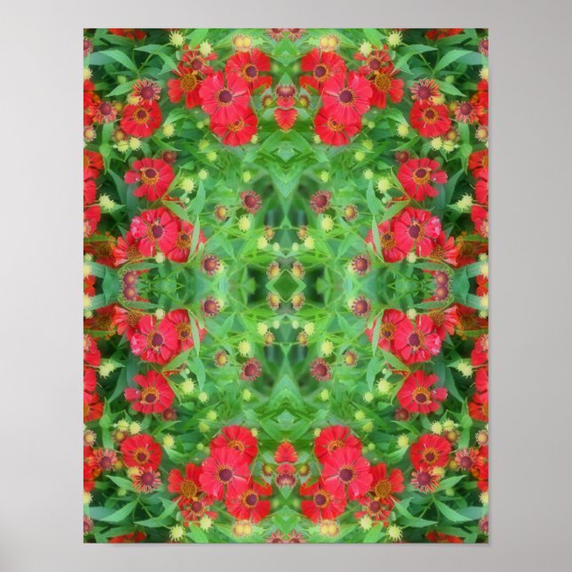 Affiche Fleur rouge Zinnia de fond Motif Abstrait (Devant)