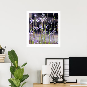 Affiche Fleur sauvage