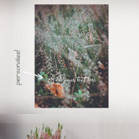 Fleur sauvage d'automne