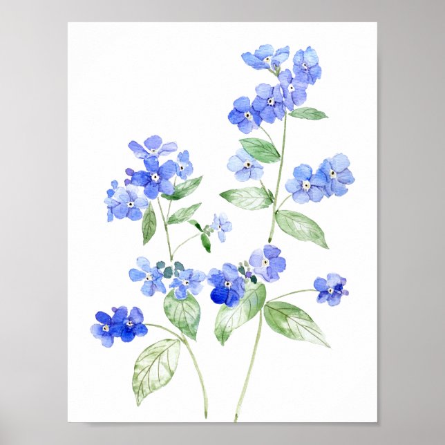 Affiche fleur sauvage de fleurs Brunnera bleu délicat (Devant)