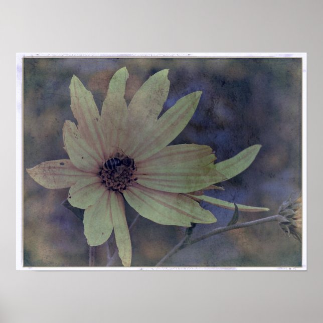 Affiche Fleur sauvage et abeille (Devant)