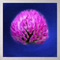 Fleur sauvage Red Clover