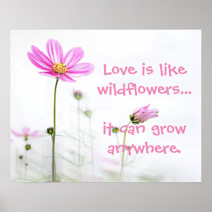 Affiche Fleur sauvage rose