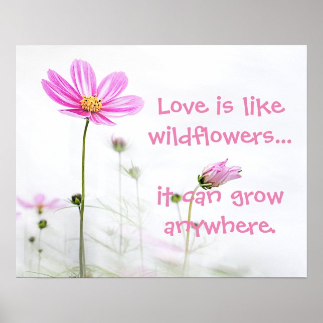 Affiche Fleur sauvage rose (Devant)