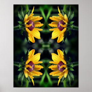 Affiche Fleur Susan Black Eyed dépliant Abstrait