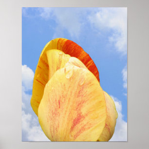 Affiche Fleur Tulipe Jaune Sur Ciel Bleu