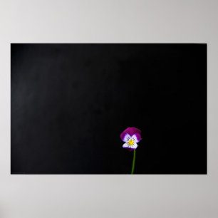 Affiche Fleur violet wapcn