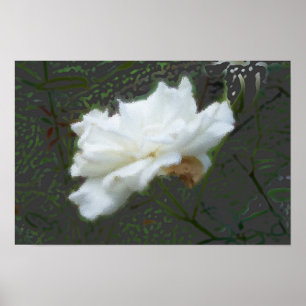 Affiche Fleur Zen