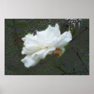 Affiche Fleur Zen