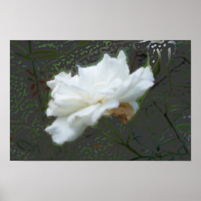 Affiche Fleur Zen (Devant)