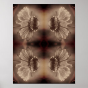 Affiche Fleur Zinnia Daisy Soft Dans Sepia Vintage Abstrai