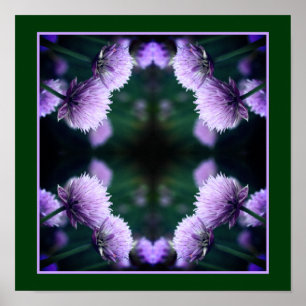 Affiche Fleurir Allium Oignon Violet Art de la Nature