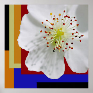 Affiche Fleurissement de printemps Moderne Abstrait Floral