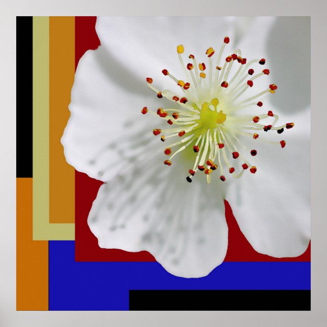 Affiche Fleurissement de printemps Moderne Abstrait Floral (Devant)
