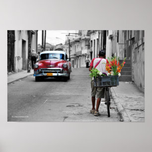 Affiche Fleuriste cubain