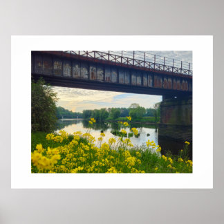 Affiche Fleurs