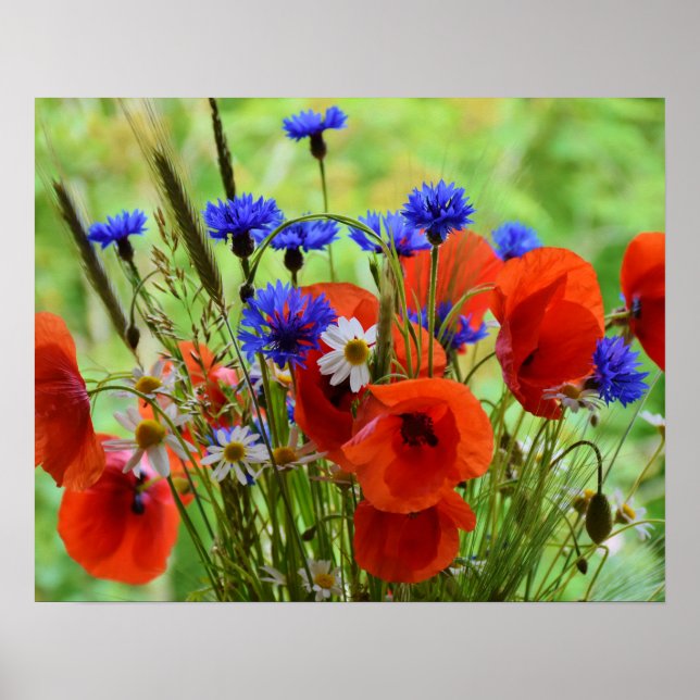 Affiche Fleurs (Devant)