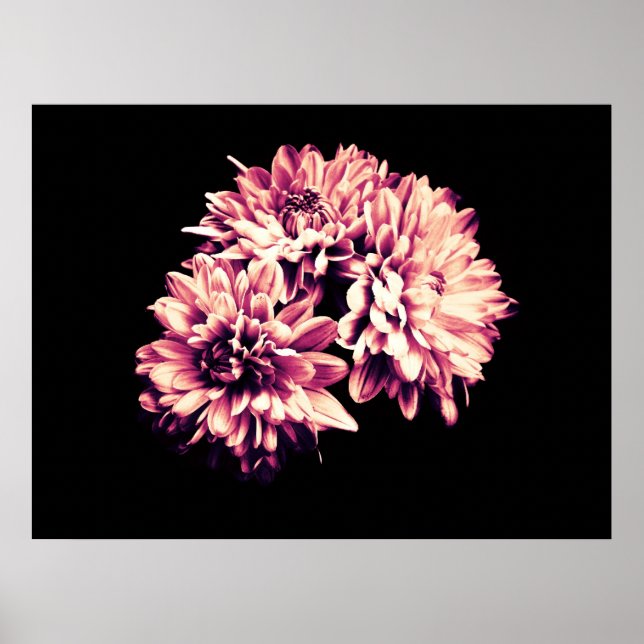 Affiche Fleurs (Devant)