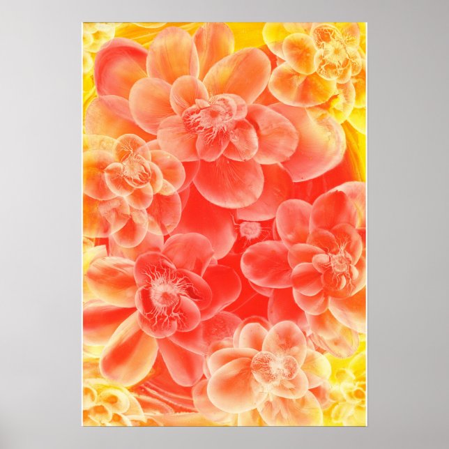 Affiche Fleurs à l'aquarelle peintes à la main dans des co (Devant)