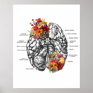 Affiche Fleurs anatomiques du cerveau Art anatomique