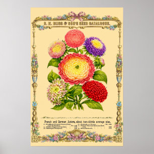 Affiche Fleurs Art Botanique Rétro Ère Victorienne