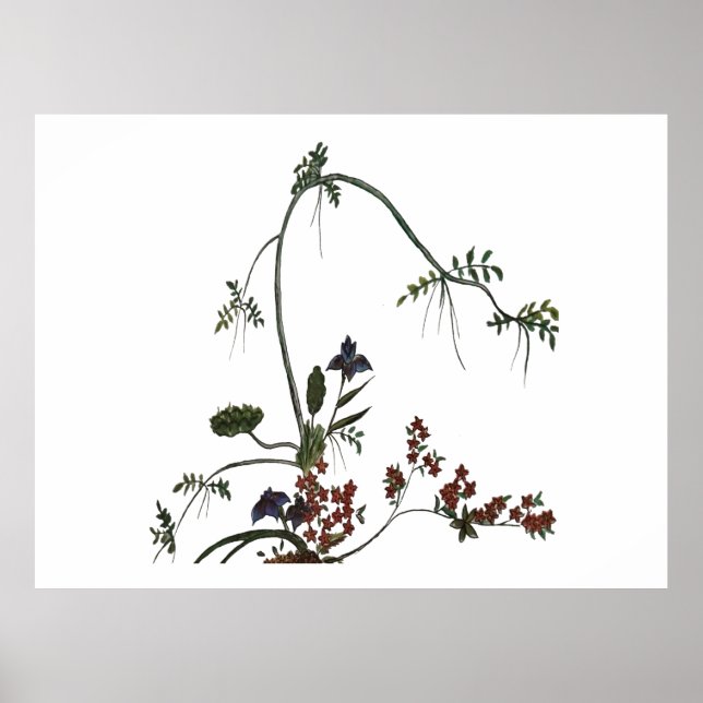 Affiche Fleurs Artistiques Fleur Japonaise (Devant)