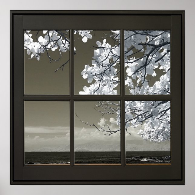 Affiche Fleurs blanches 24x24 Fenêtre Faux noirs (Devant)