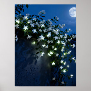 Affiche Fleurs Blanches au Clair de Lune sur une Vigne Art