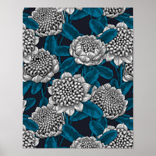 Affiche Fleurs blanches de waratah