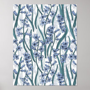 Affiche Fleurs Blue Hyacinth sur blanc