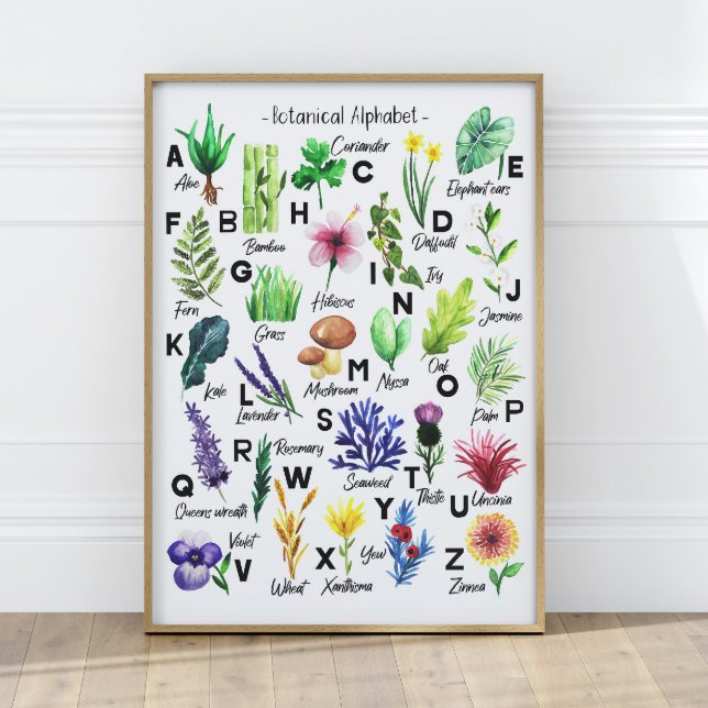 Affiche Fleurs botaniques mignonnes Alphabet Baby Nursery (Créateur téléchargé)