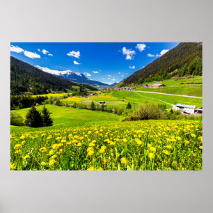 Affiche Fleurs Canton des Grisons de Dandelion, Suisse