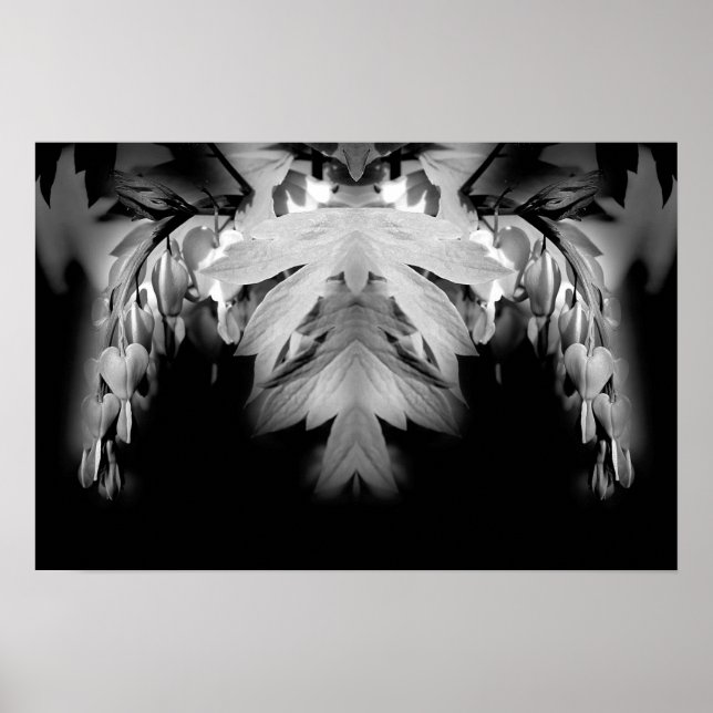 Affiche Fleurs Cardiaques Saignantes Noir Et Blanc Abstrai (Devant)