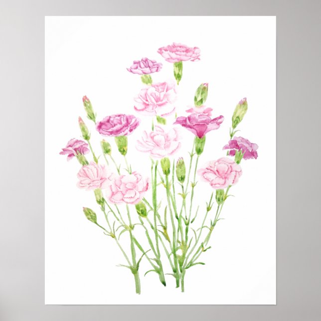 Affiche fleurs carnation rose (Devant)