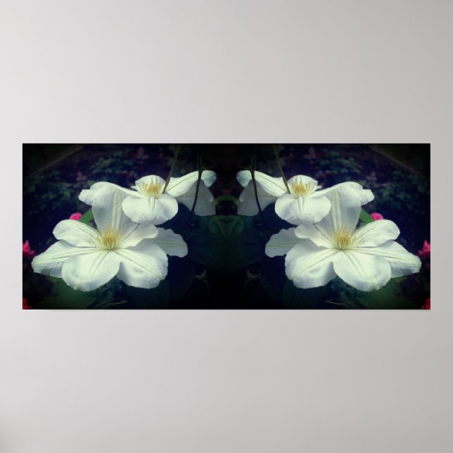 Affiche Fleurs Clematis Blanches Miroir Abstrait (Devant)
