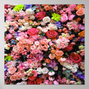 Affiche Fleurs colorées en Bouquet floral fleuri