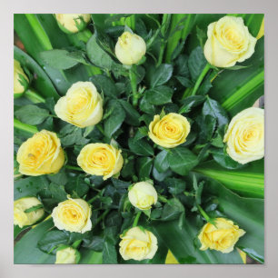 Affiche fleurs+ colorées, gnome de jardin+,