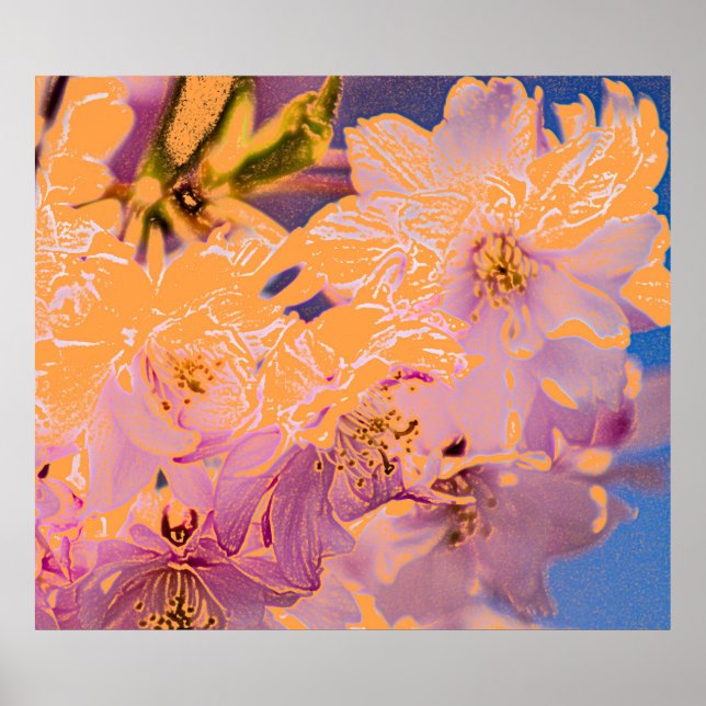 Affiche Fleurs colorées Imprimer (Devant)