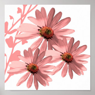 Affiche Fleurs coniques