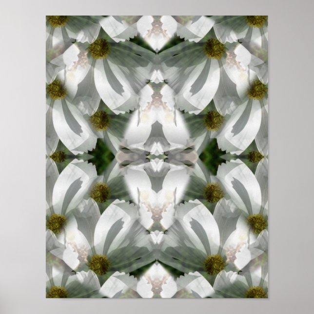 Affiche Fleurs Cosmos Blanches Art Abstrait (Devant)