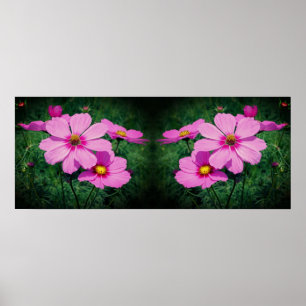 Affiche Fleurs Cosmos rose miroir Abstrait