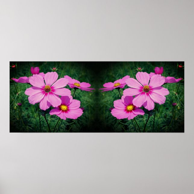 Affiche Fleurs Cosmos rose miroir Abstrait (Devant)