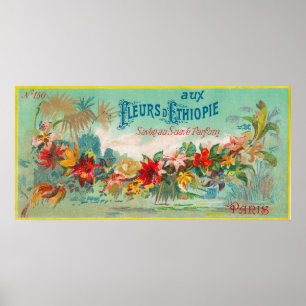 Affiche Fleurs D Ethiopie - LabelParis, France
