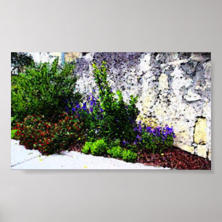 Affiche Fleurs d'Alamo