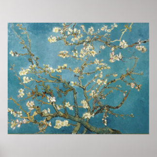 Affiche Fleurs d'amandes par Vincent van Gogh