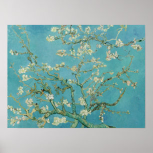 Affiche Fleurs d'amandes par Vincent Van Gogh Art