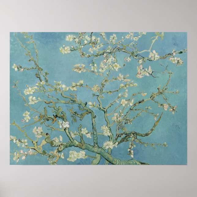 Affiche Fleurs d'amandes par Vincent Van Gogh Art (Devant)