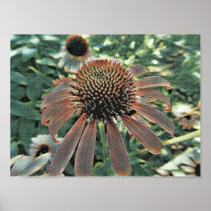 Affiche Fleurs d'amour