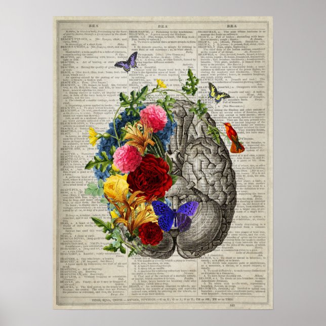 Affiche Fleurs d'anatomie cérébrale Papillons de colibris (Devant)