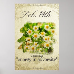 Affiche Fleurs d'anniversaire le 14 février "Chamomile"